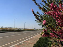 輕紡經濟區(qū)市政基礎設施工程輕六路.jpg